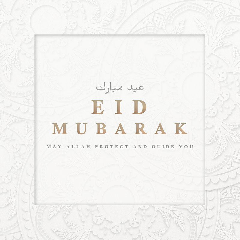 Stephen Young 4 Profile photo of Stephen Young