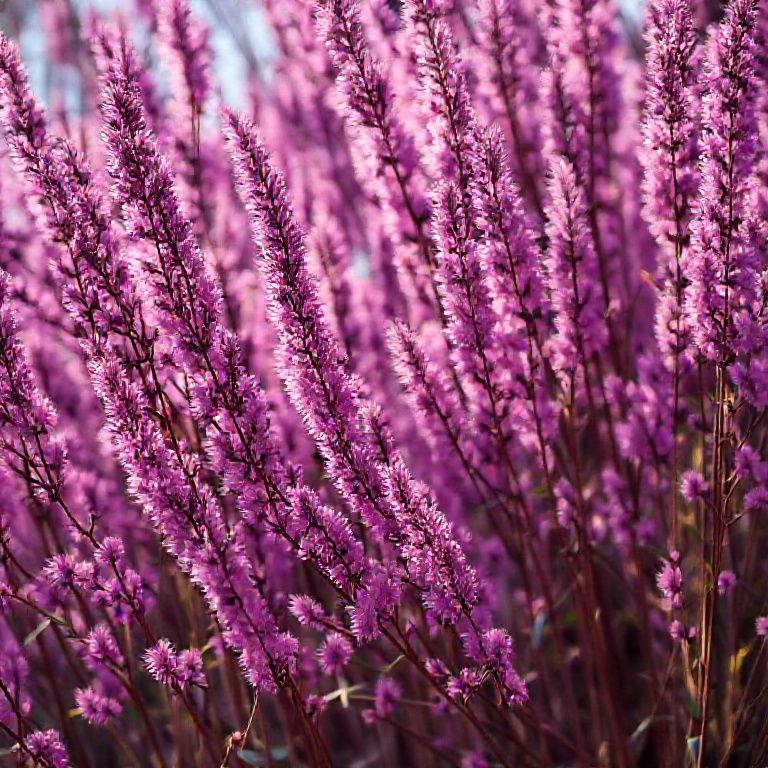 image 9a2f1a22 283f 43c7 a66b 07b654e8b9f6