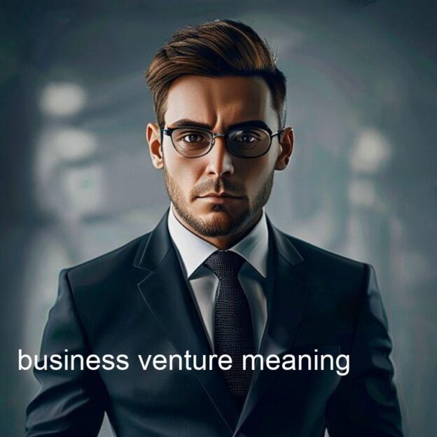 business venture meaning