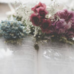 Profile photo of Linda Torres