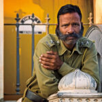 Avatar of Edward Nelson