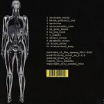 Avatar of Robert Davis