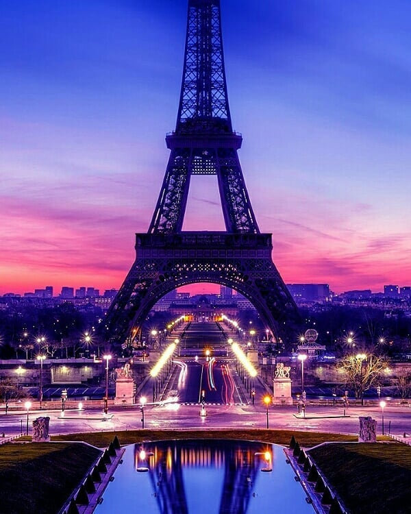 Profile photo of Dorothy Campbell