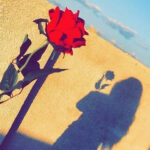 Profile photo of charlotte-adams62