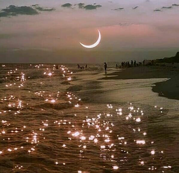 Profile photo of Dorothy Hernandez