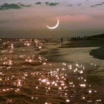 Profile photo of Dorothy Hernandez