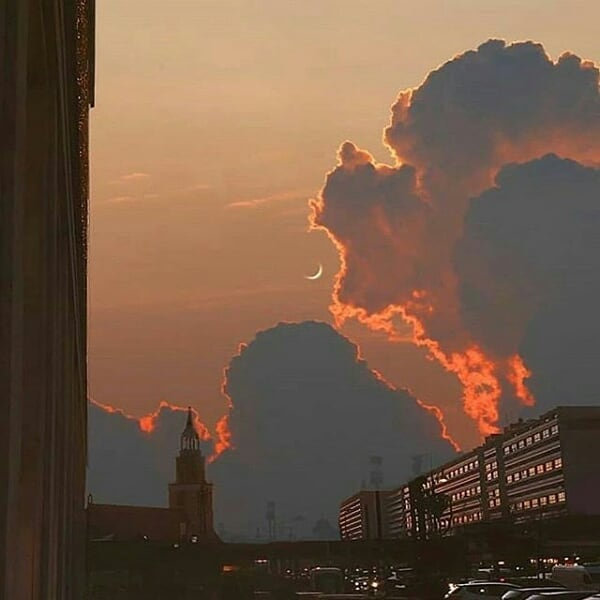 Avatar of Sharon Adams