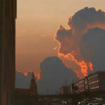 Avatar of Sharon Adams