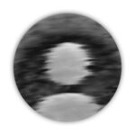 Profile photo of Charles Campbell