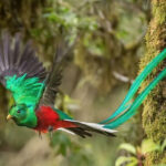 Profile photo of Jennifer Rivera