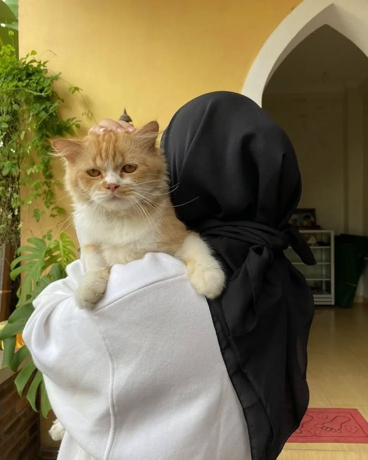 Avatar of Sophia Lee