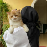 Avatar of Sophia Lee