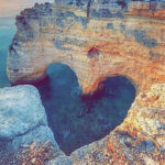 Profile photo of Sharon Scott