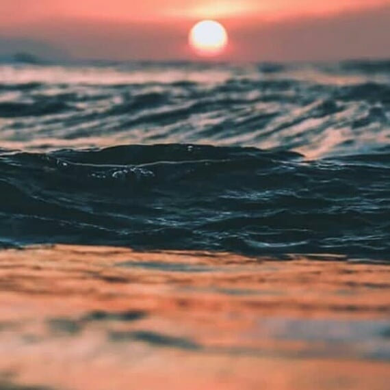 Profile photo of Jennifer Young