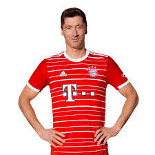 Profile photo of Stephen Mitchell