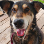 Avatar of Kenneth Moore