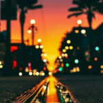 Profile photo of carol-wright46