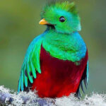 Profile photo of Sarah Lewis