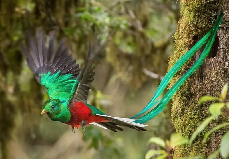 Profile photo of Laura Wright