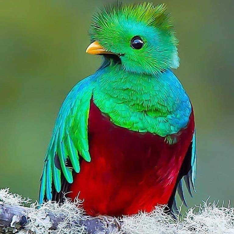 Profile photo of Kimberly Lopez