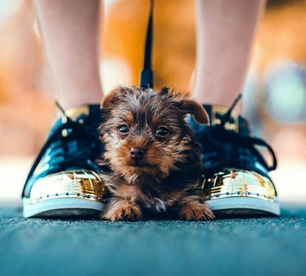 Helen Lewis 2 Profile photo of Helen Lewis