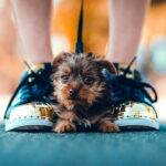 Profile photo of Helen Lewis