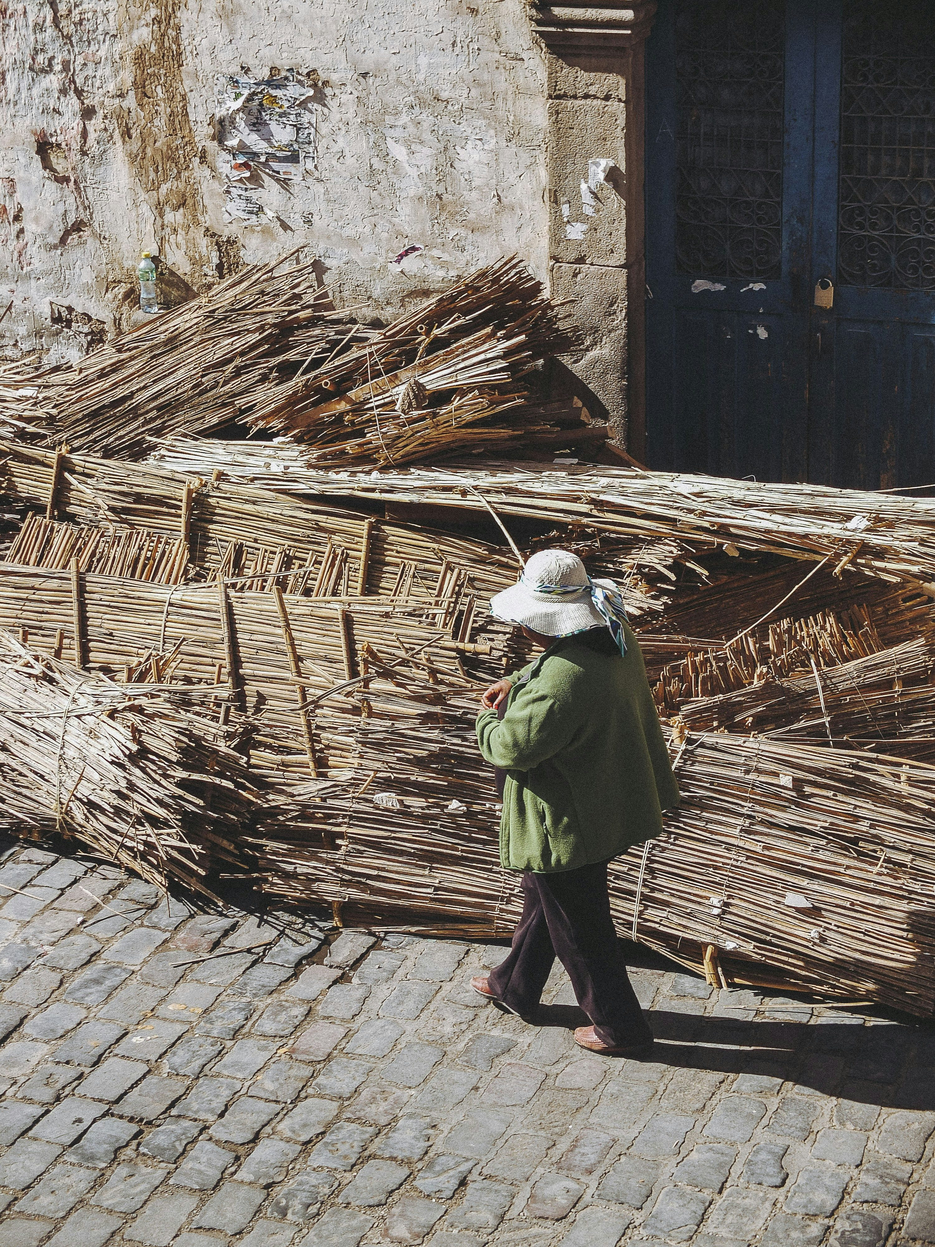 Profile photo of Mia Wilson