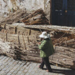 Avatar of Mia Wilson