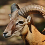 Profile photo of Donald Lee