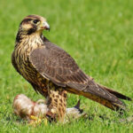 Profile photo of Kenneth Taylor