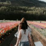 Profile photo of Sofia Hall