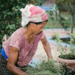 Avatar of Sarah Adams