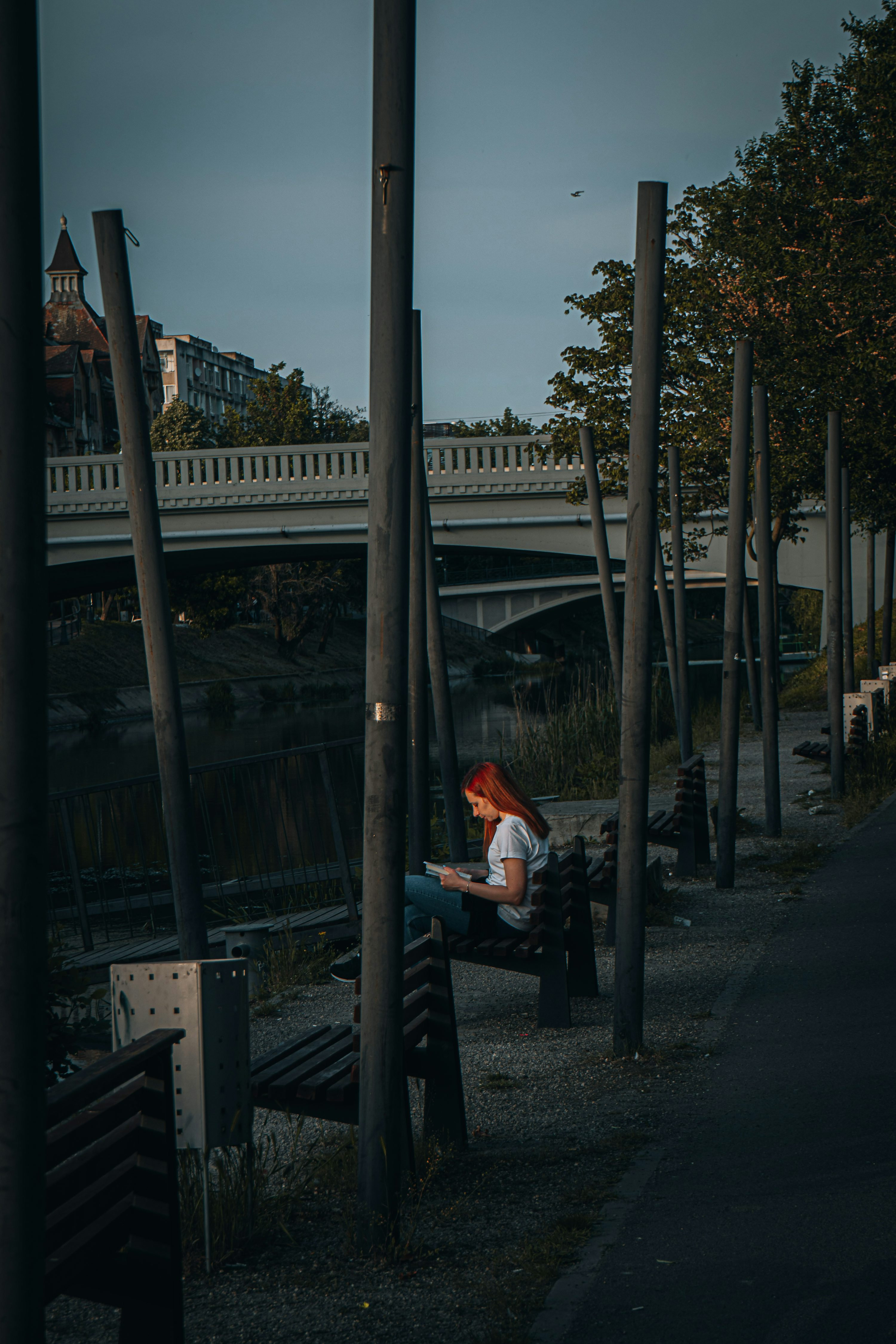 Profile photo of Barbara Brown