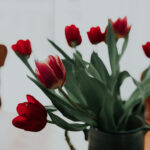 Profile photo of Donna Ramirez