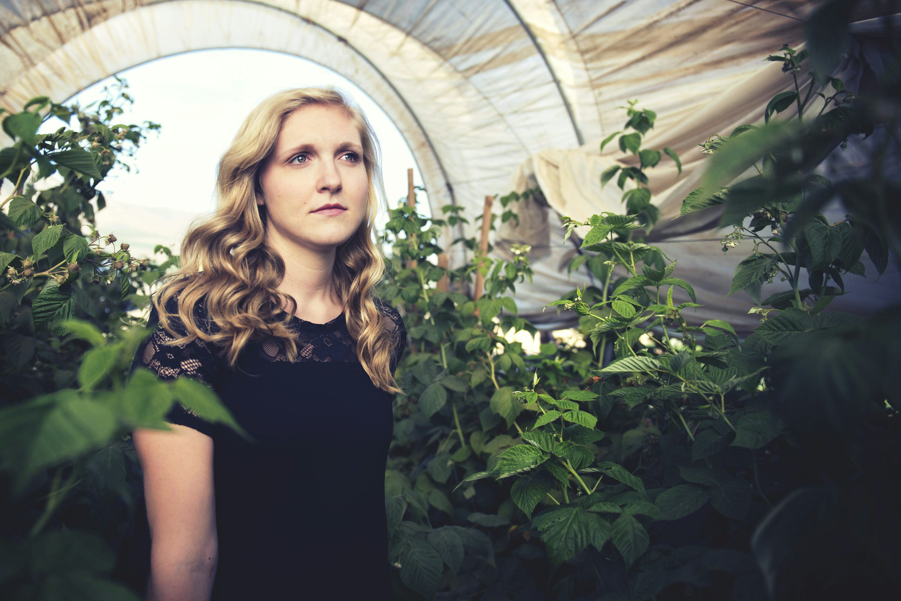 Donna Jones 2 Profile photo of Donna Jones