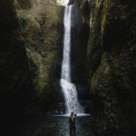 Avatar of Sophia Wright