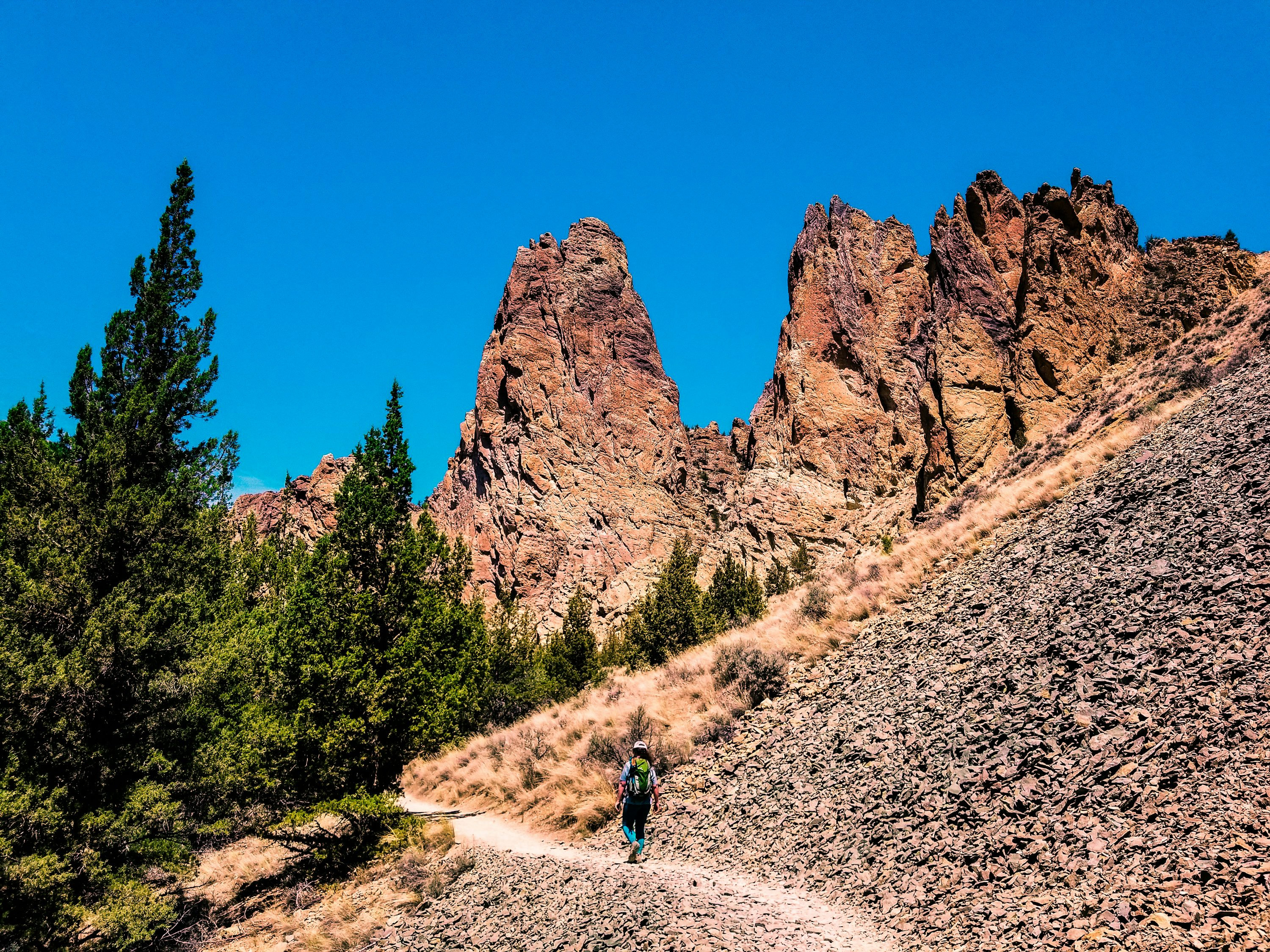 Avatar of Harper Martin