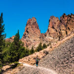 Avatar of Harper Martin