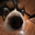 Avatar of Kimberly Campbell