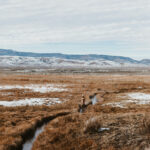 Profile photo of Mary Young