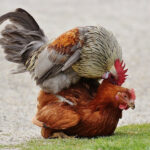 Avatar of James Jackson