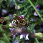 Avatar of Michael Hernandez