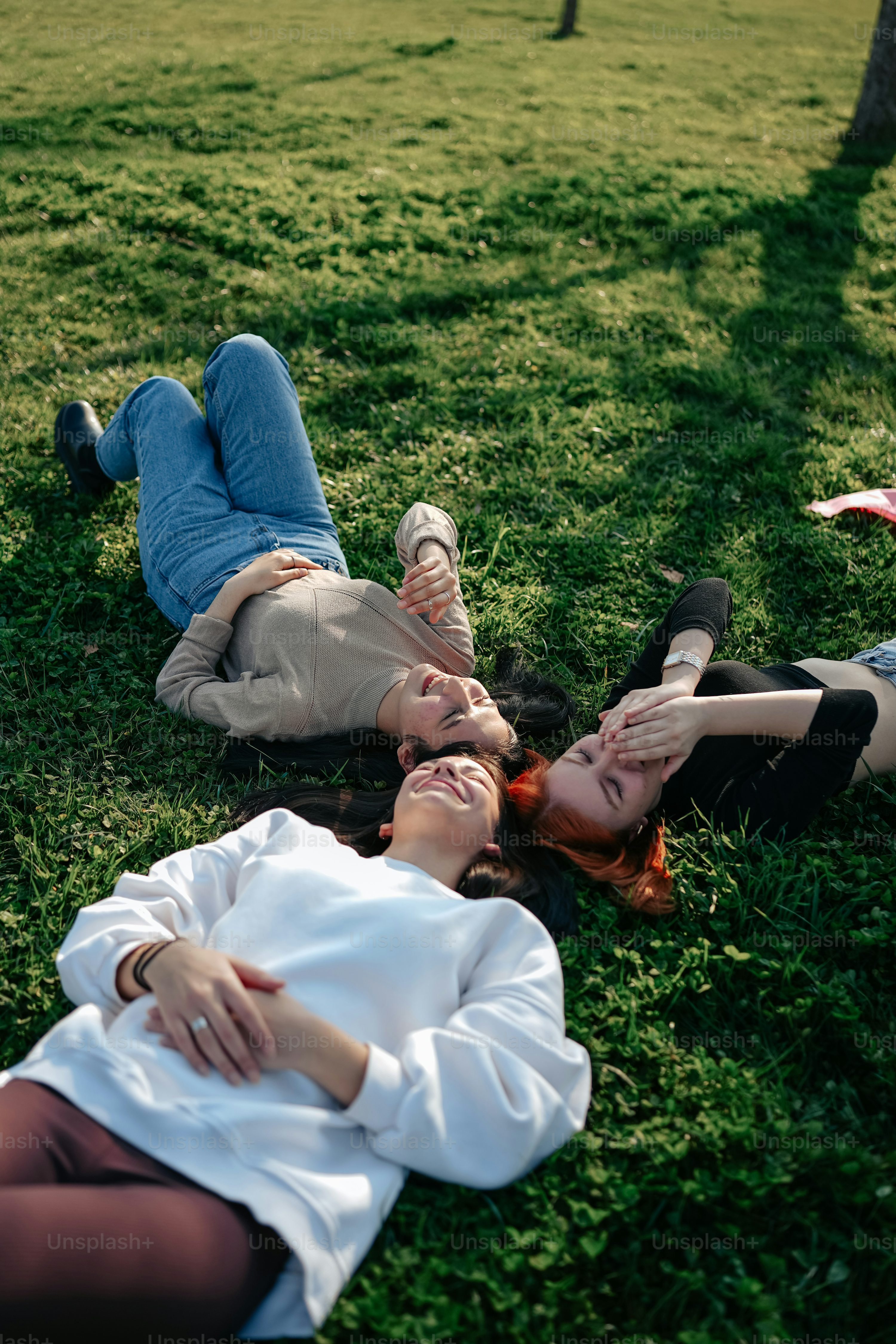 Profile photo of Barbara Anderson